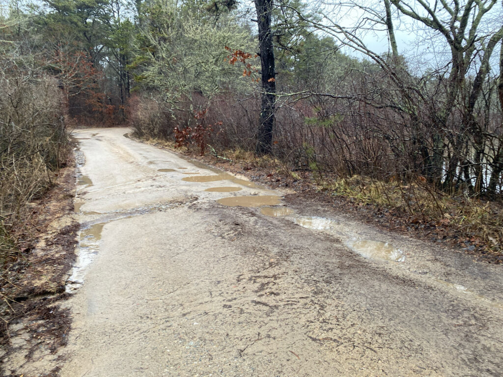 a dirt road with trees on either side of it (MyCoast AI)