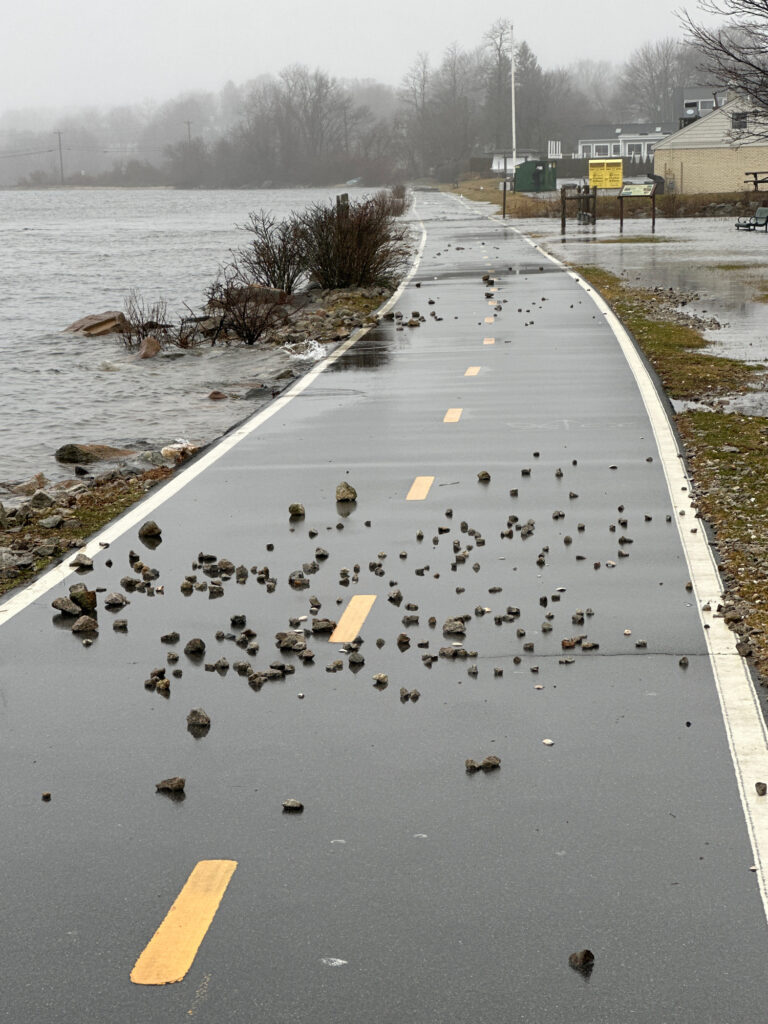 a road with a lot of ducks on it and a road with snow (MyCoast AI)