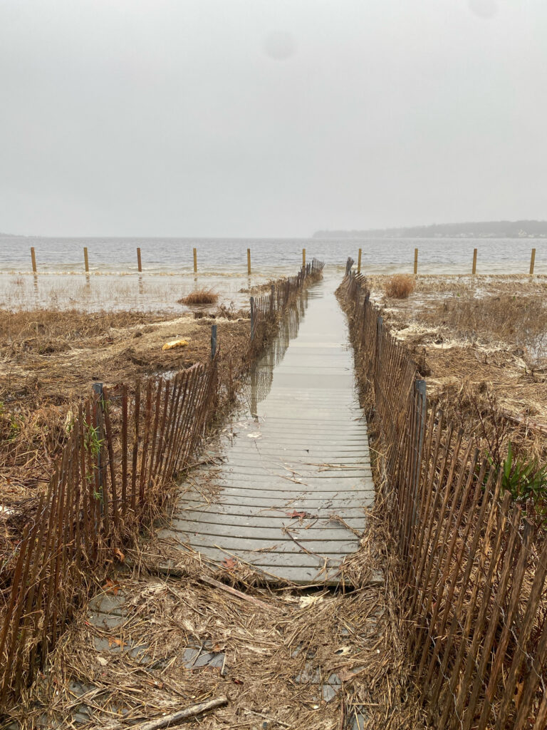 a path with a fence and plants on the side (MyCoast AI)