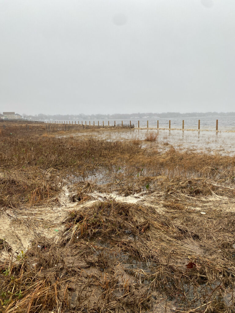 a field with a fence in the background (MyCoast AI)