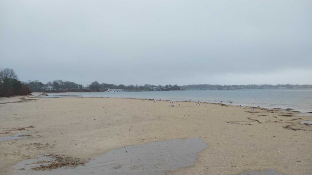 a beach with a body of water (MyCoast AI)