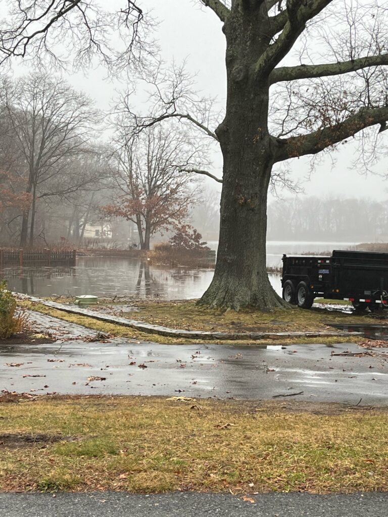 a tree in a flooded area (MyCoast AI)