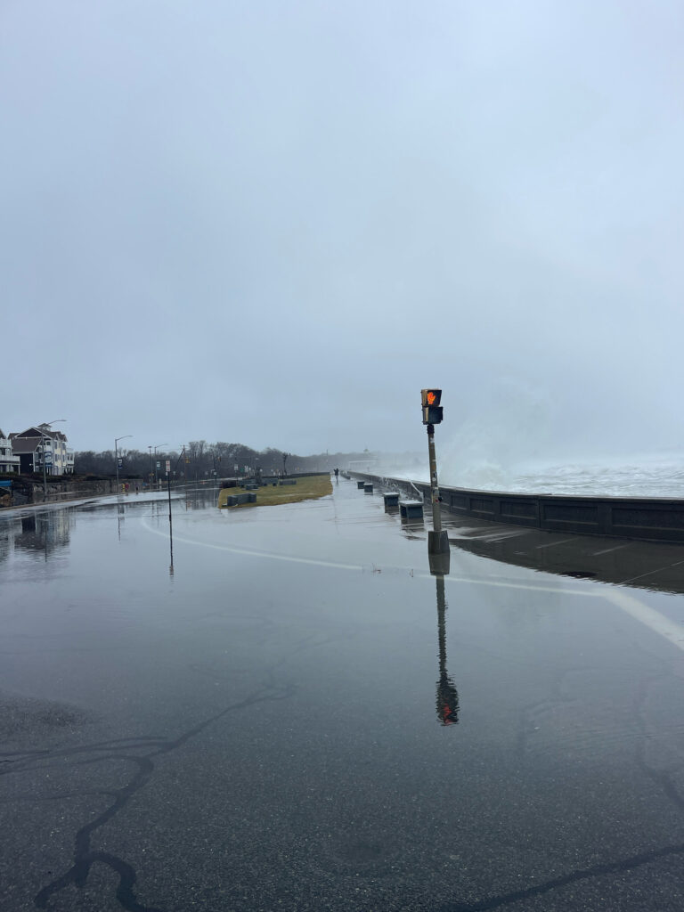 a flooded street with a traffic light (MyCoast AI)