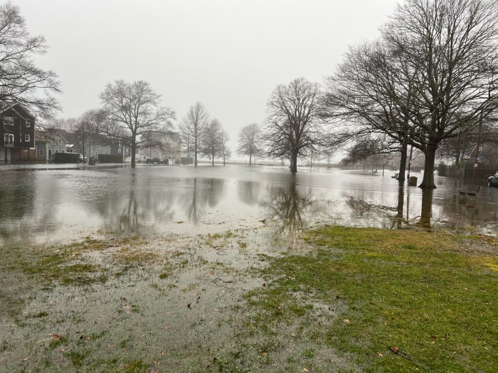 a flooded street with trees and houses (MyCoast AI)