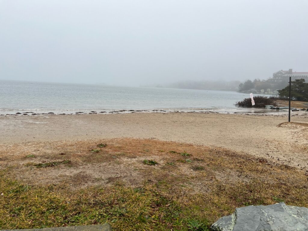 a beach with grass and water (MyCoast AI)