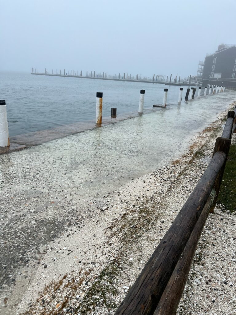 a wooden walkway over water (MyCoast AI)