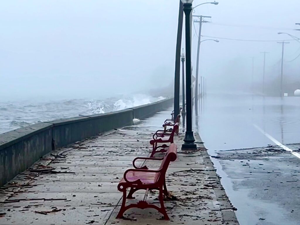 benches on a pier (MyCoast AI)