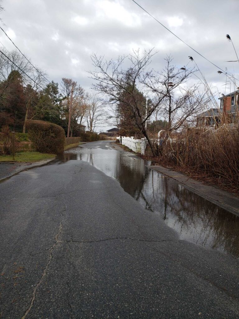 a road with a puddle on the side and trees on the side (MyCoast AI)
