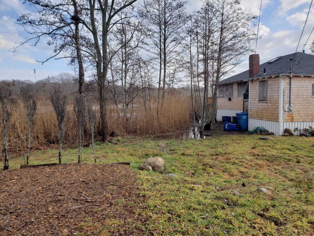 a yard with trees and a house (MyCoast AI)