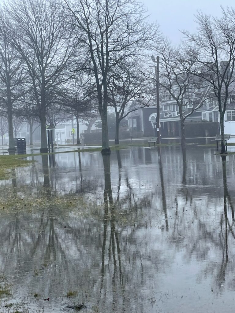 a flooded area with trees and buildings (MyCoast AI)