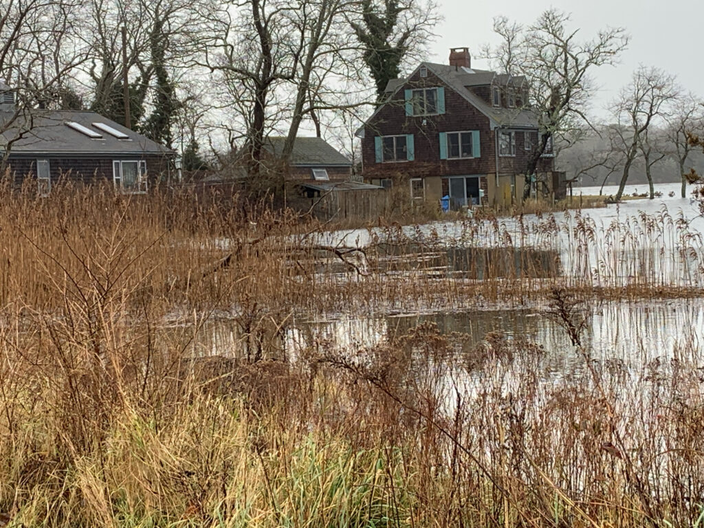 a house with a pond in front of it (MyCoast AI)
