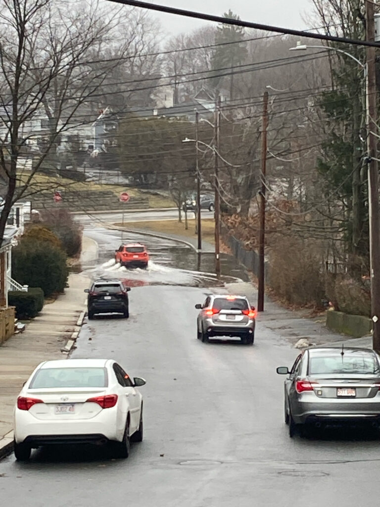 cars on a road (MyCoast AI)