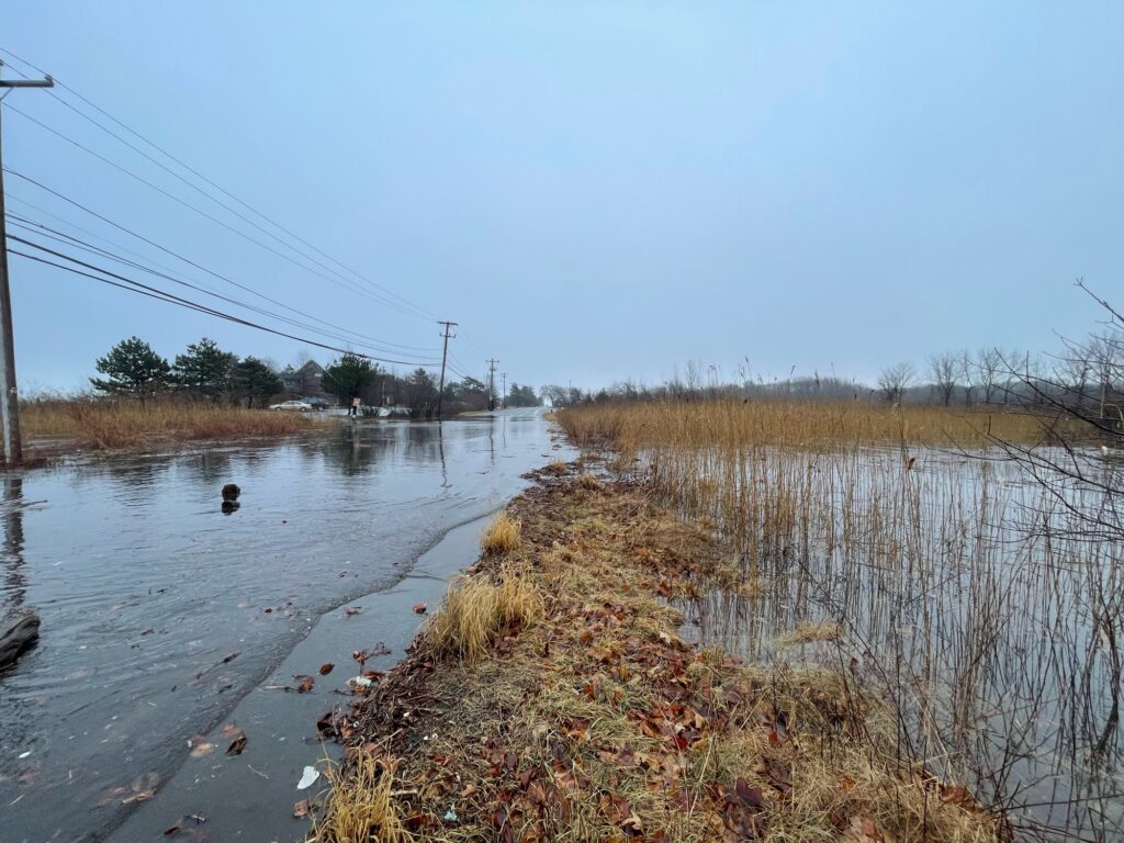 a river with a duck in it (MyCoast AI)