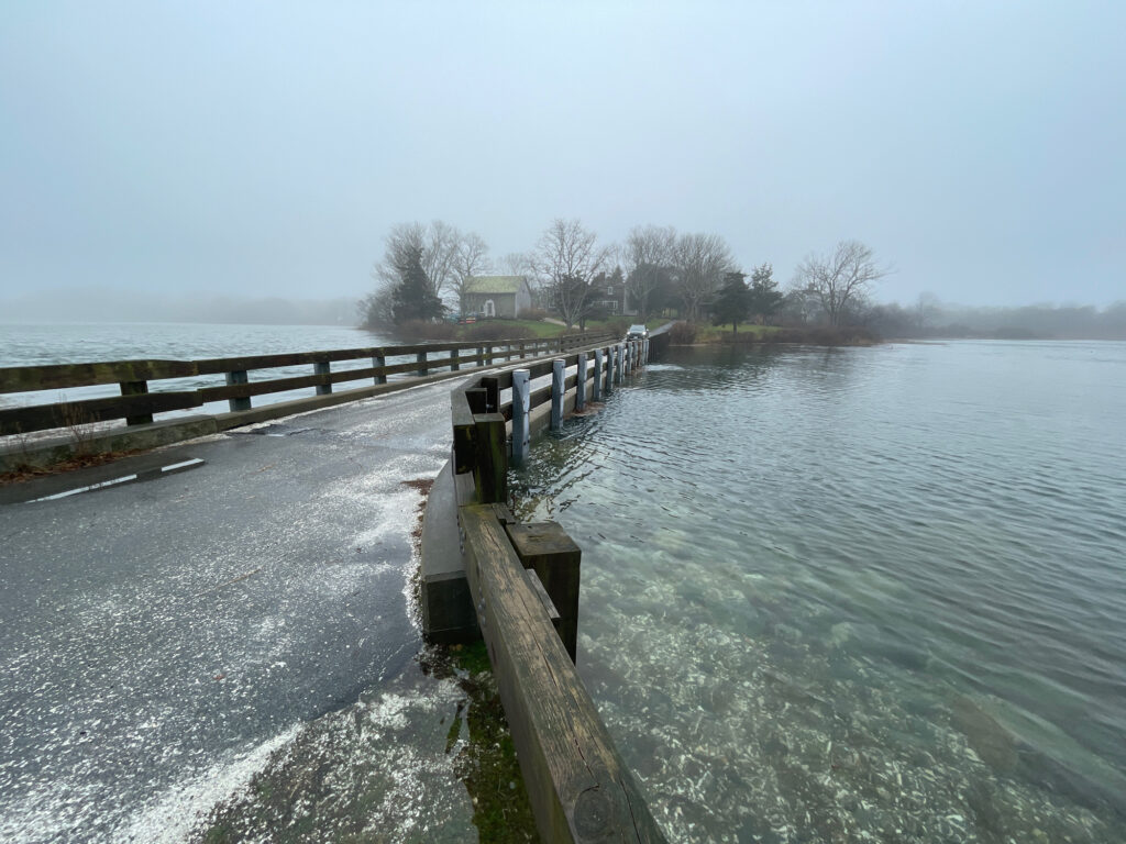 a wooden bridge over a body of water (MyCoast AI)