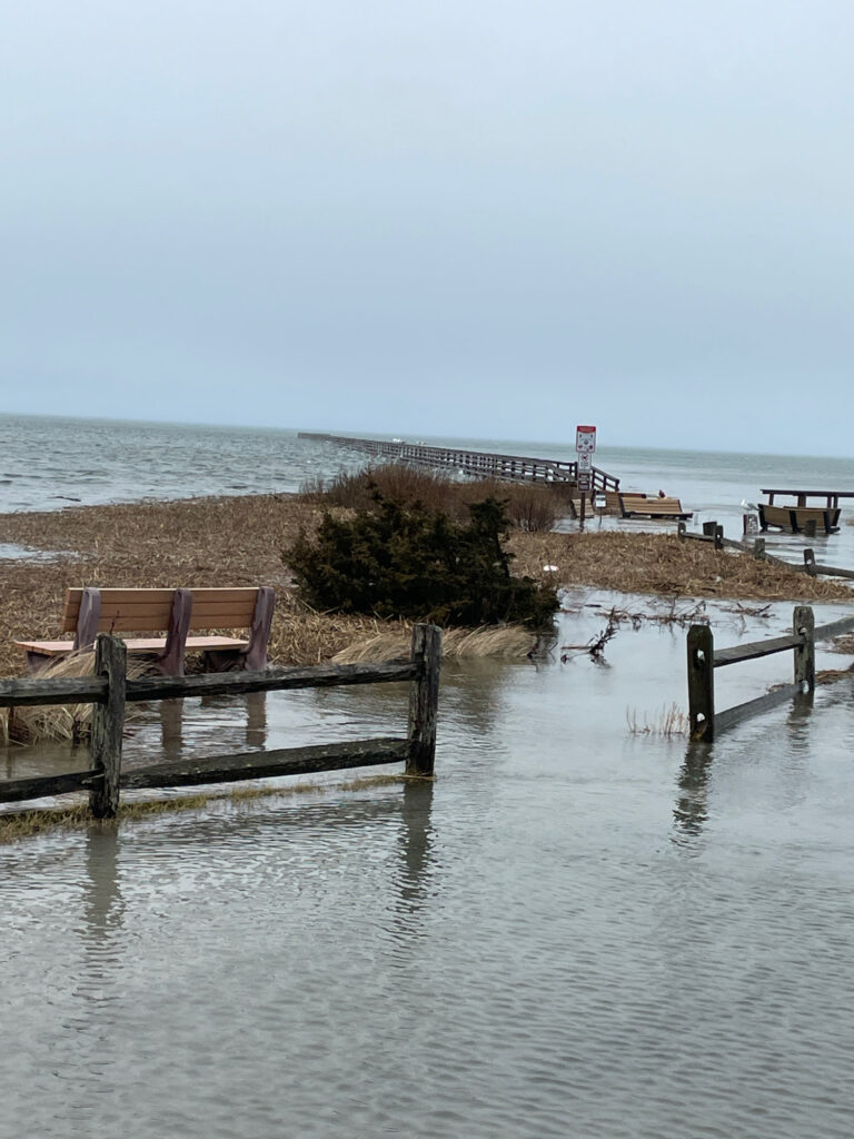 a bench sits on a dock (MyCoast AI)