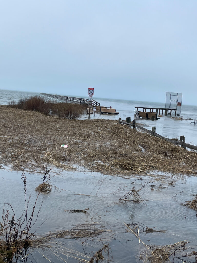 a dock over a body of water (MyCoast AI)