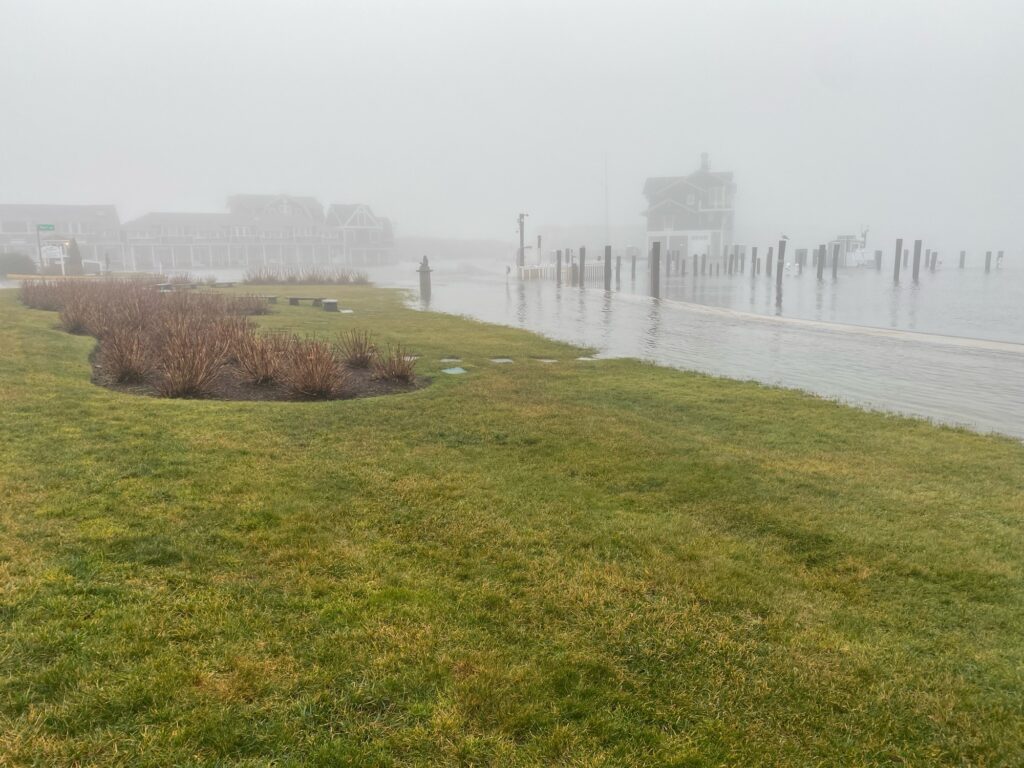 a grassy area next to a body of water with buildings in the background (MyCoast AI)