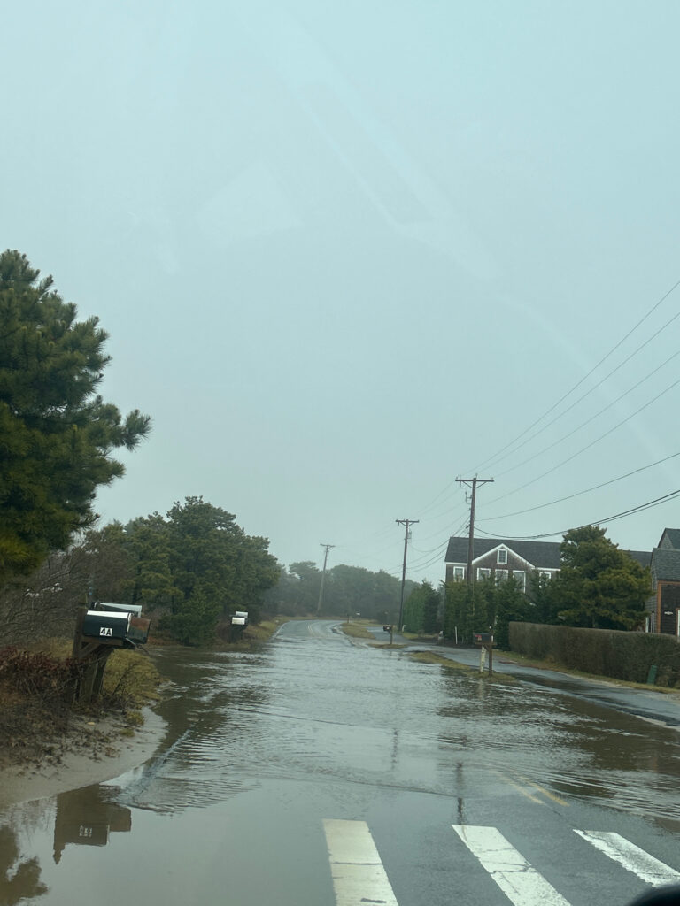 a flooded street with houses and trees (MyCoast AI)