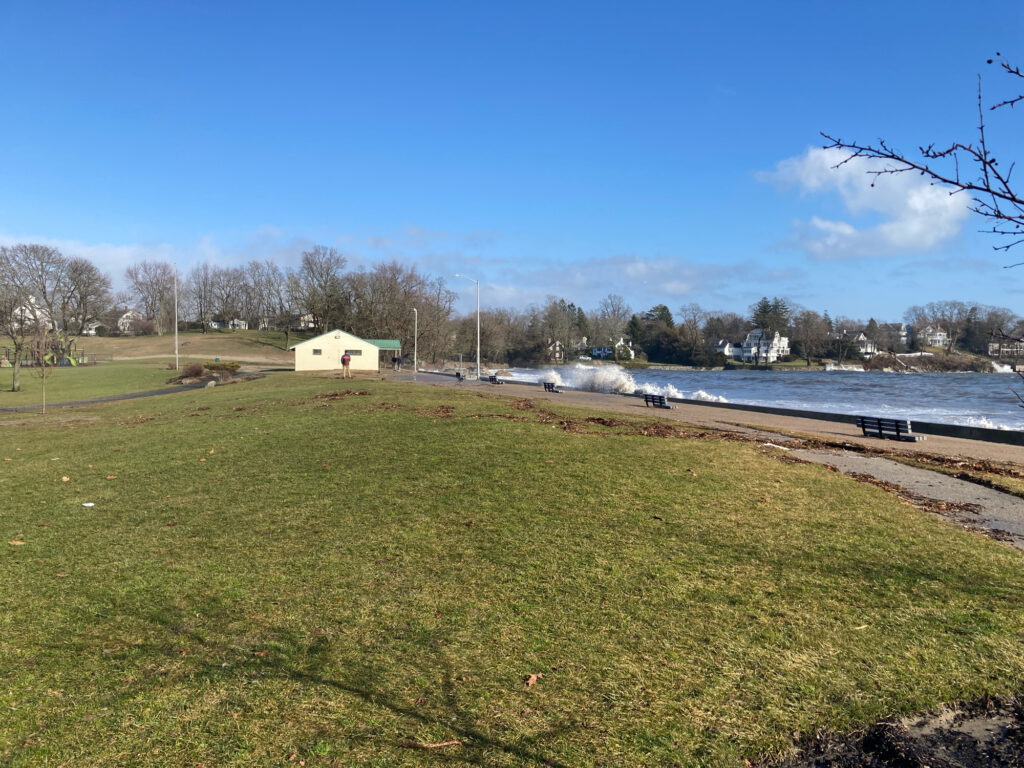 a grassy area next to a body of water (MyCoast AI)