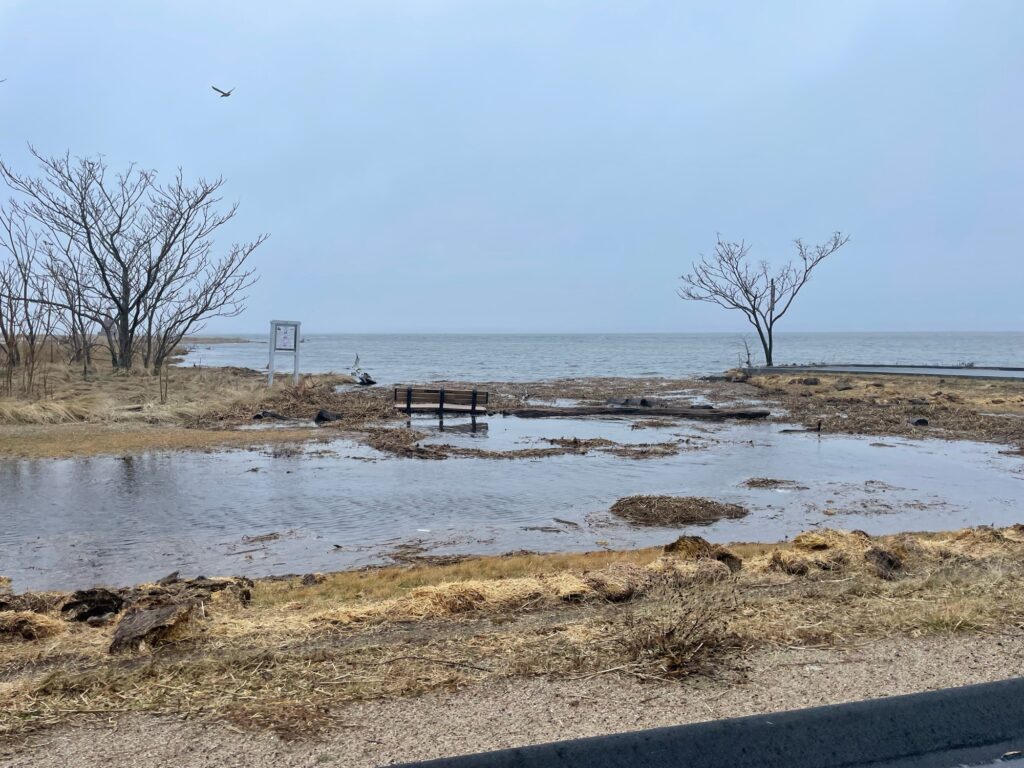 a beach with a bench and a body of water (MyCoast AI)
