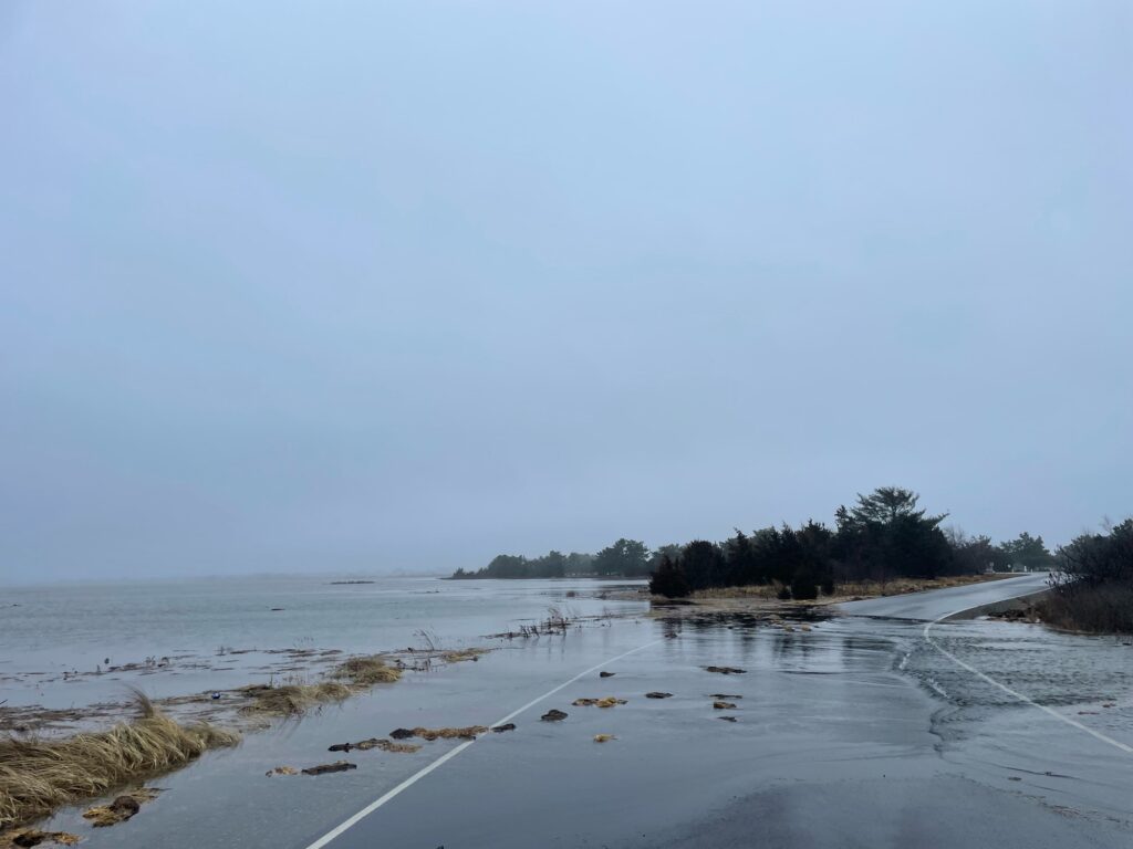 a beach with a stream of water (MyCoast AI)