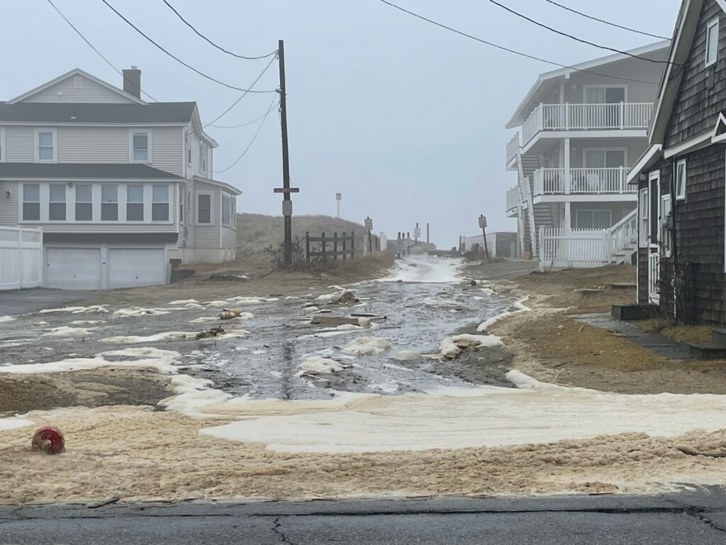 a road with houses along it (MyCoast AI)