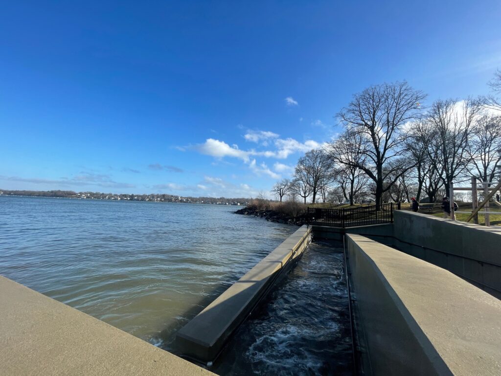 a body of water with a concrete walkway and trees on the side (MyCoast AI)