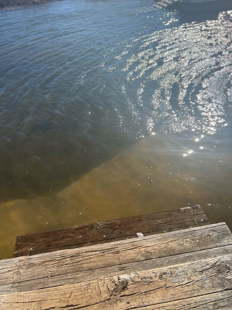 a body of water with a wood dock and a wood railing (MyCoast AI)