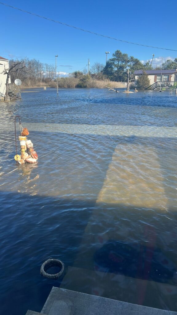 a person in a yellow life jacket in a body of water (MyCoast AI)