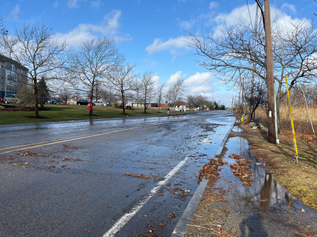 a wet road with trees and grass (MyCoast AI)