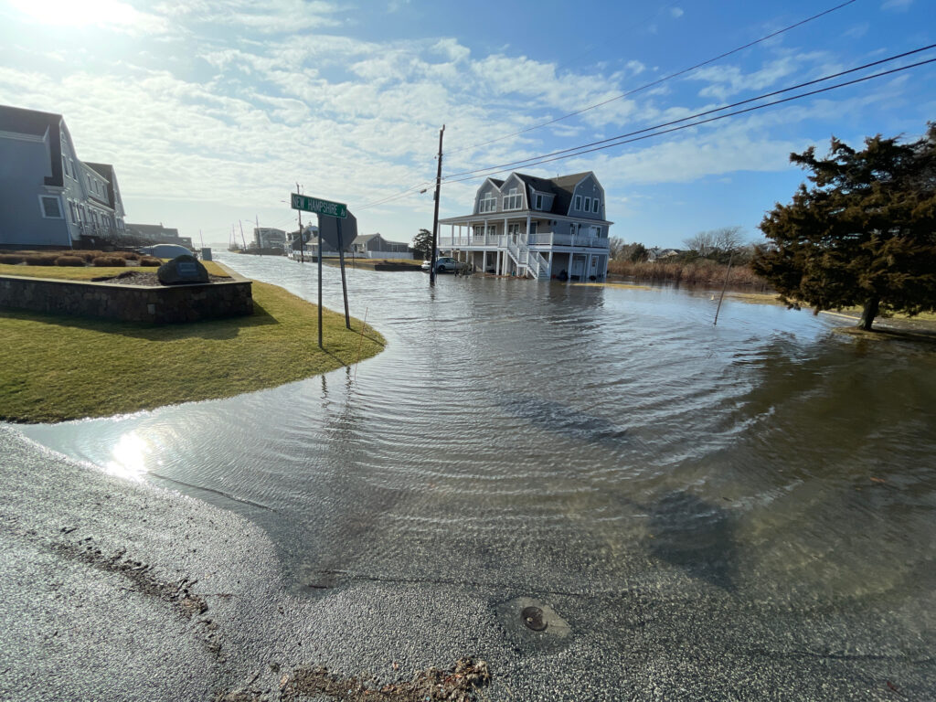 a flooded area with buildings and trees (MyCoast AI)