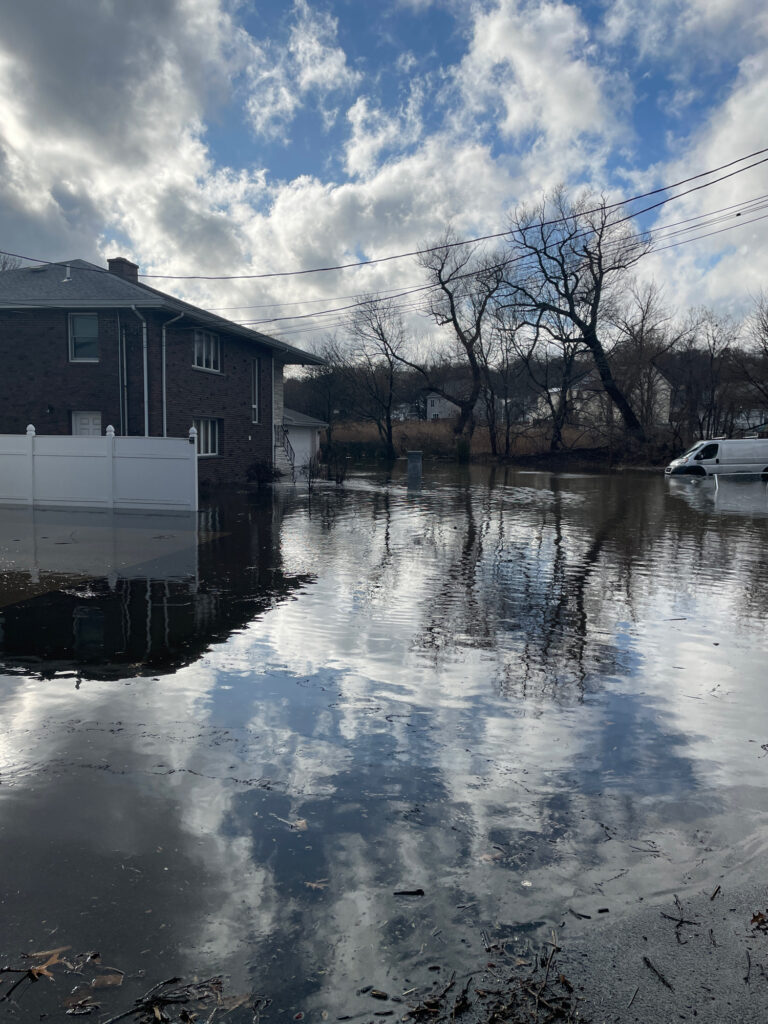 a puddle of water with buildings and trees in the background (MyCoast AI)