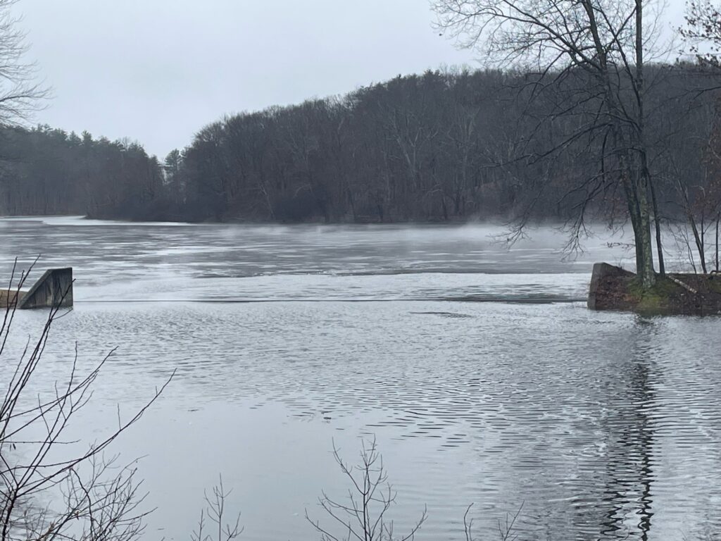 a lake with trees and a dock (MyCoast AI)