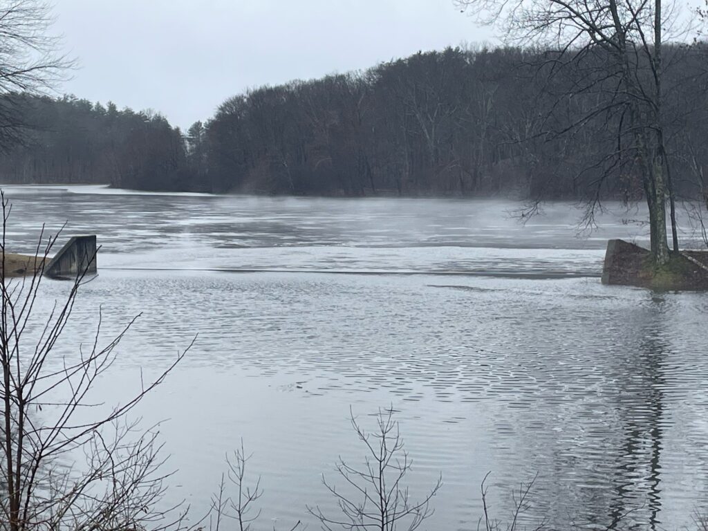 a lake with trees around it (MyCoast AI)