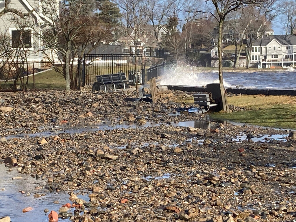 a pile of leaves and debris in a yard with houses and trees (MyCoast AI)