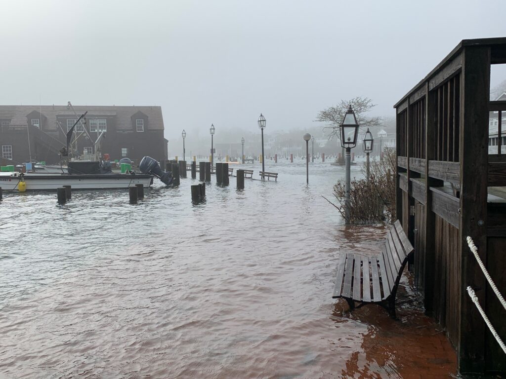 a bench sits in the middle of a flooded area (MyCoast AI)