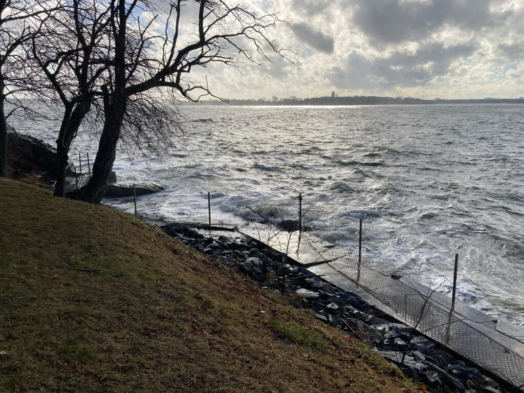 a body of water with a fence and a tree by it (MyCoast AI)