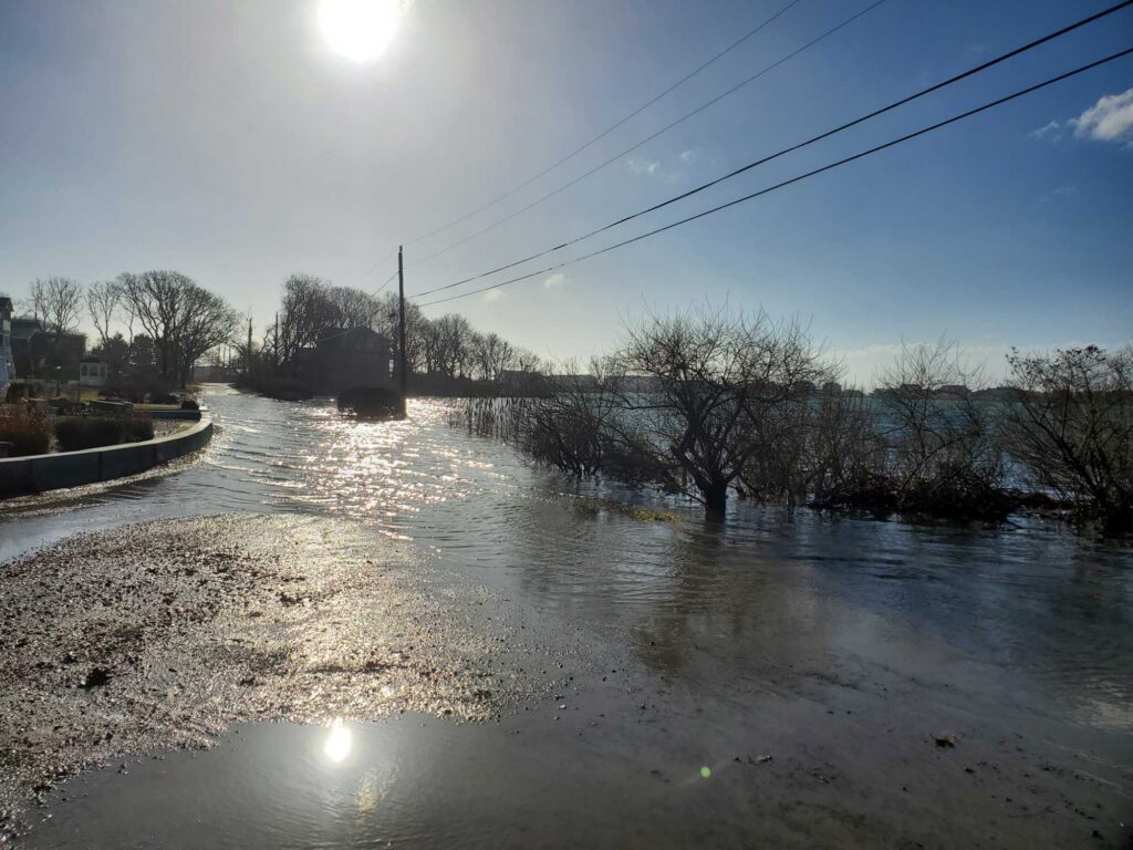 a flooded area with trees and power lines (MyCoast AI)