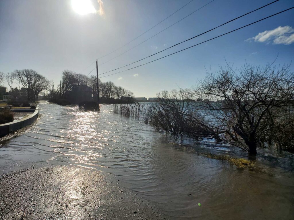 a flooded road with trees on either side of it (MyCoast AI)