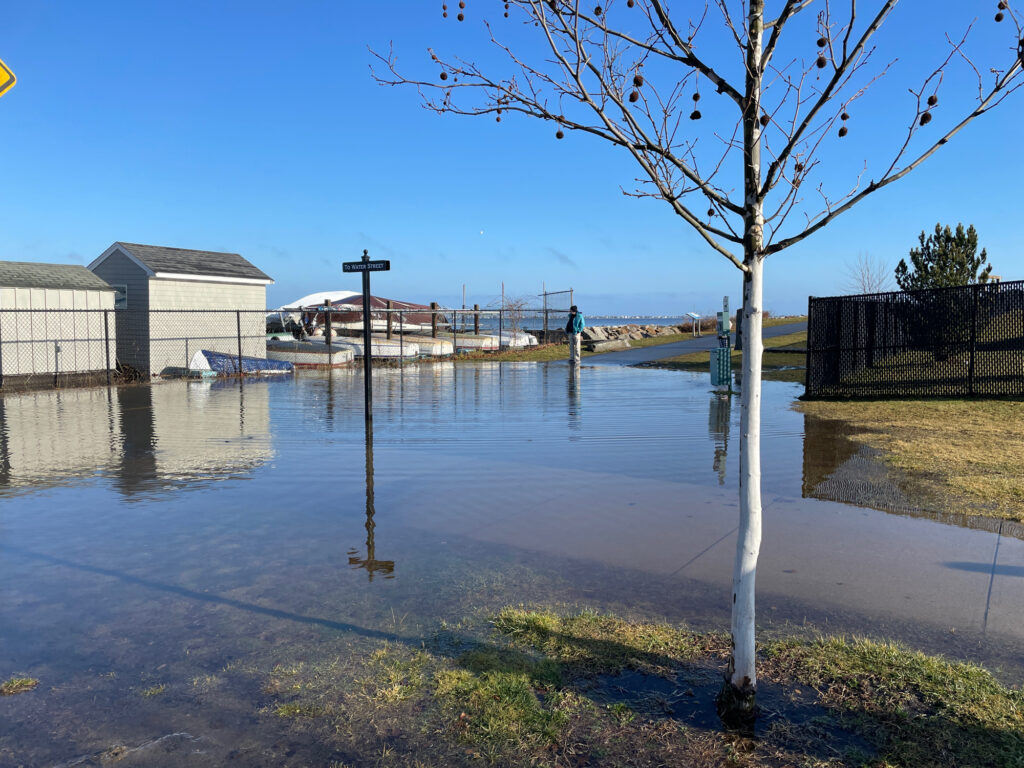 a flooded area with a tree (MyCoast AI)