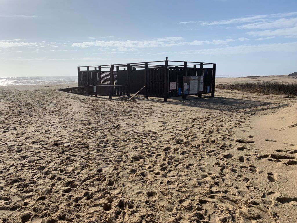 a structure in the sand (MyCoast AI)