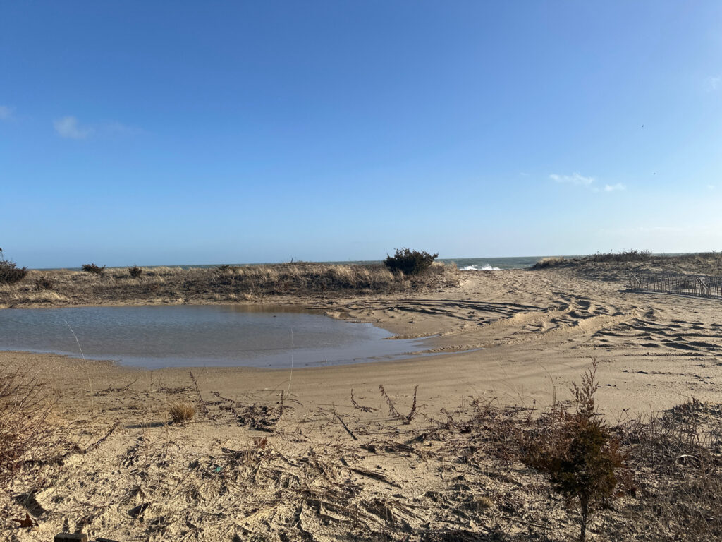 a small pond in a desert (MyCoast AI)
