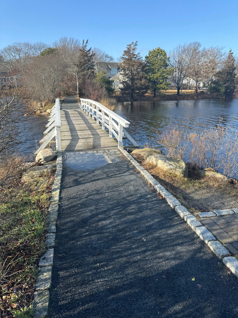 a stone walkway over a river (MyCoast AI)
