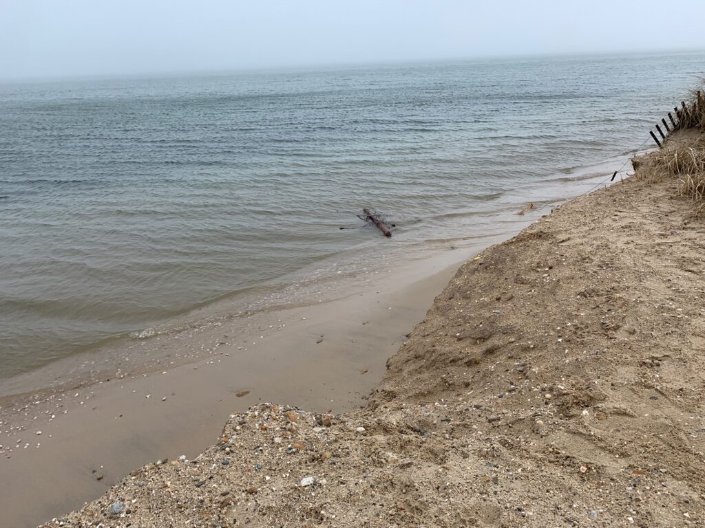 a sandy beach with a body of water in the background (MyCoast AI)