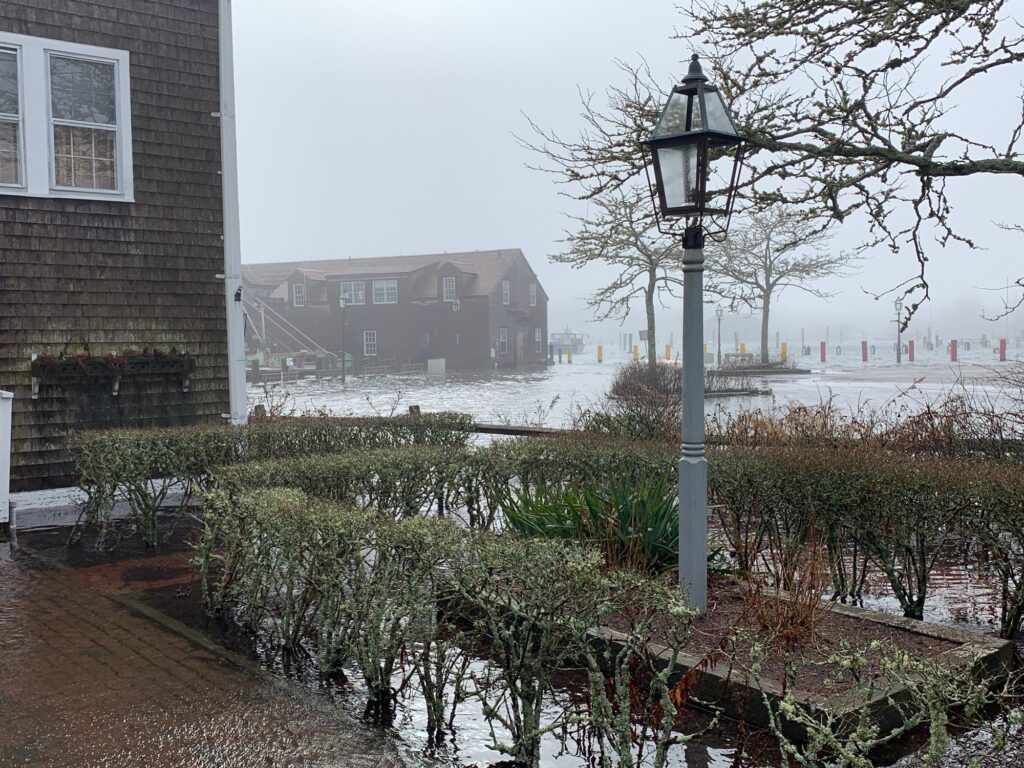 a light post in a garden (MyCoast AI)