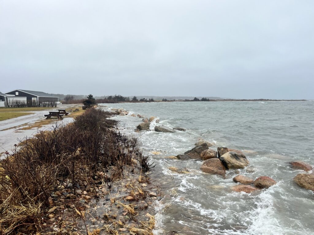 a rocky beach with a house in the background (MyCoast AI)