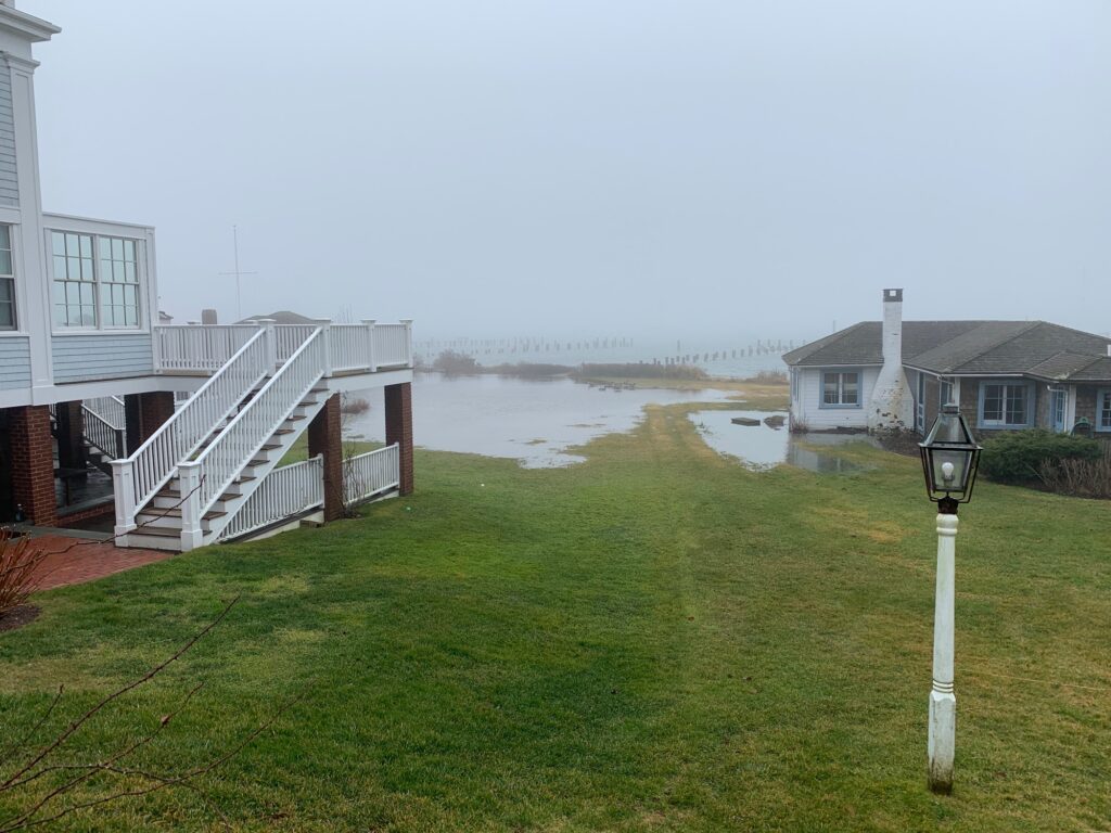 a grassy area with buildings and a body of water in the background (MyCoast AI)