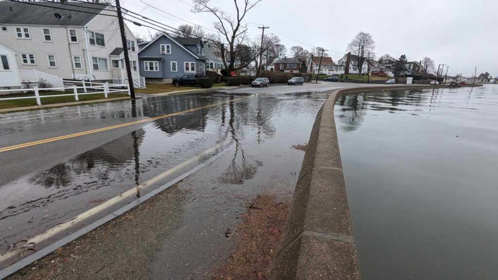 a wet street with houses and cars (MyCoast AI)