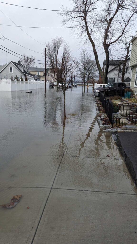 a flooded street with houses and trees (MyCoast AI)