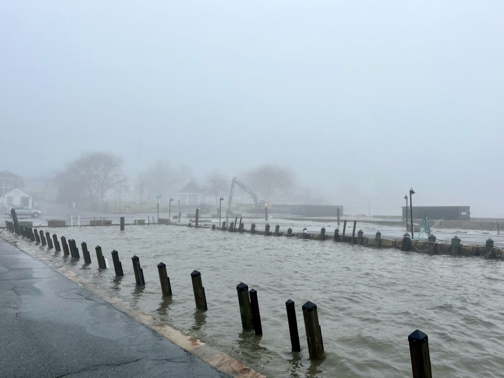a dock with a row of wooden posts in the water (MyCoast AI)